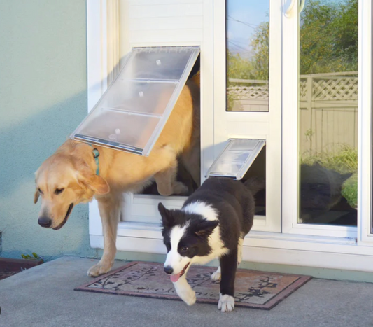 Sturdy Screen Doggy Door